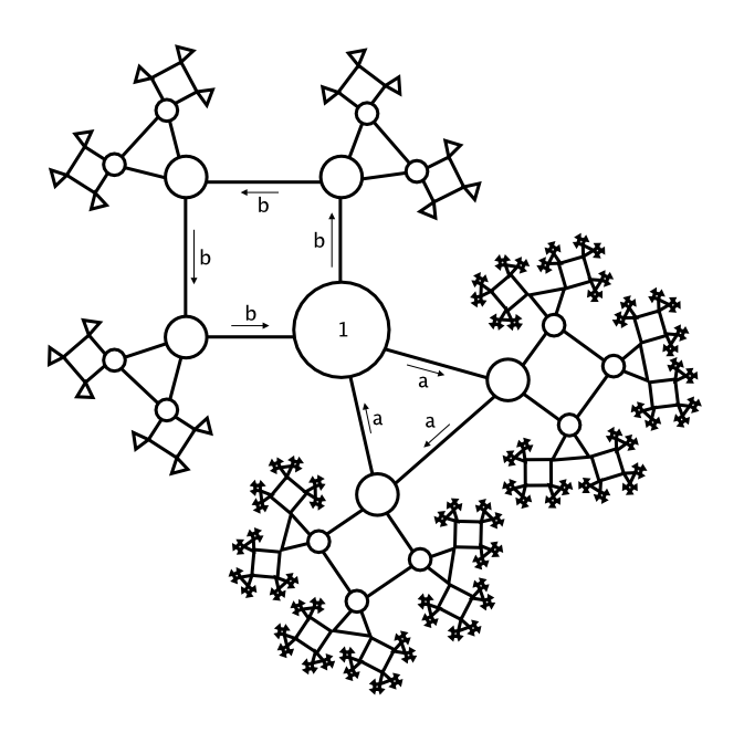 Cayley diagram showing squares with triangles on each corner, each triangle having a square on its corners, and so on.